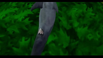 the dolphin's kink